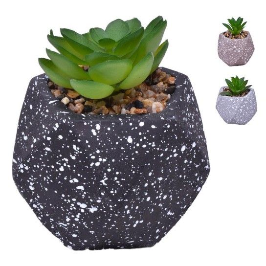 VASO DEC 2574-003 CX72