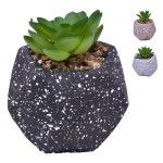 VASO DEC 2574-003 CX72