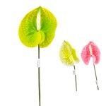 ANTURIO ARTIFICIAL 10236