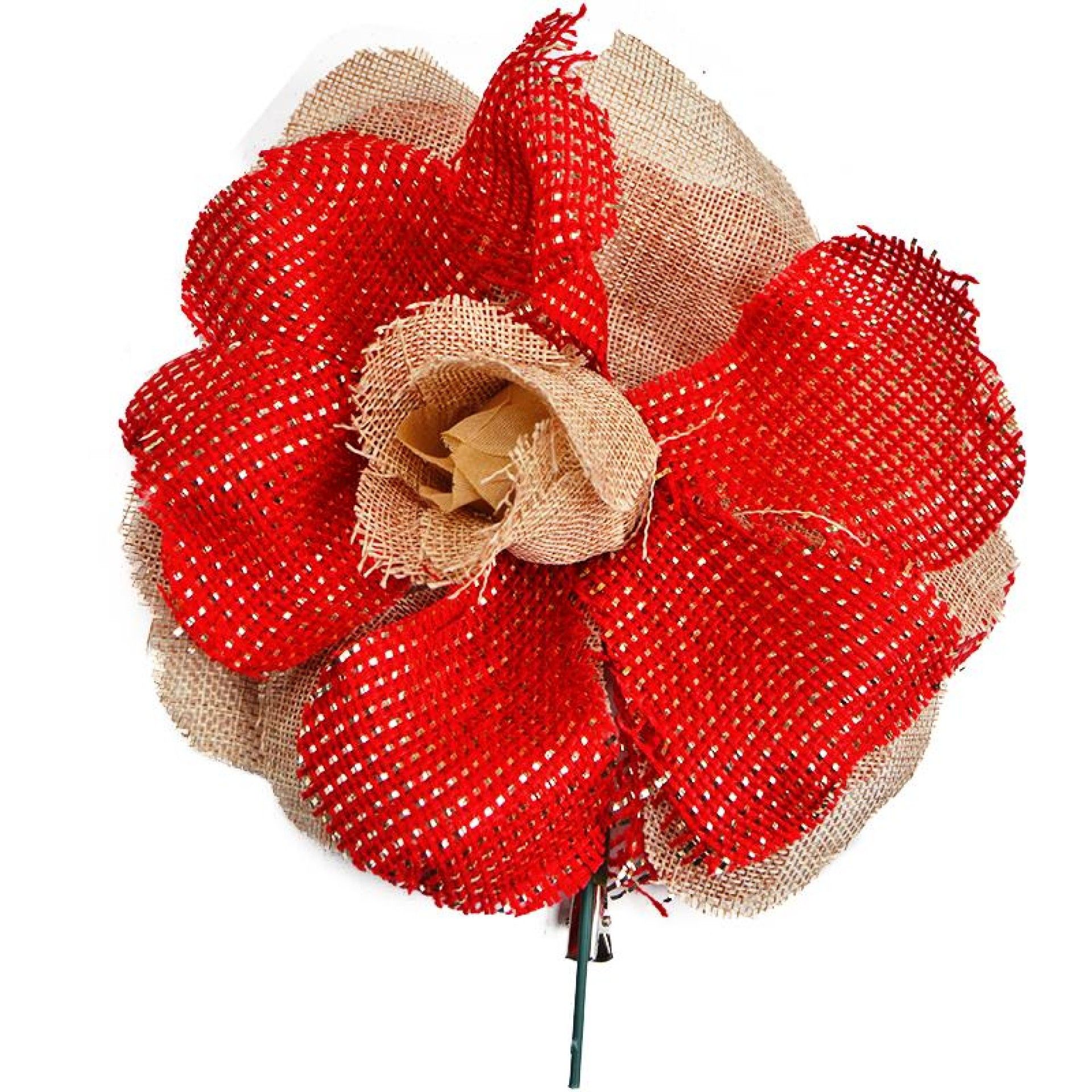 FLOR NATAL C/ MOLA FLOR NATAL C/ MOLA
