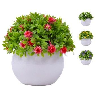 PLANTA C/ VASO 2440-020 CX144