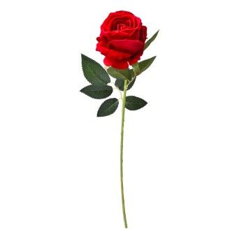 ROSA VERMELHA 202-800-A CX480