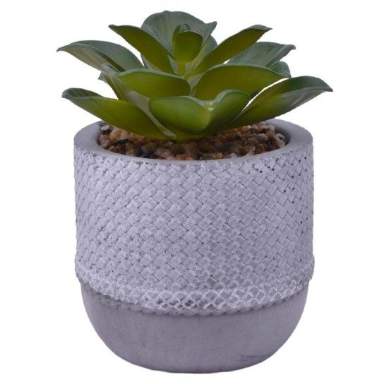 VASO CIMENTO C/PLANTA ART 2437-009 CX24