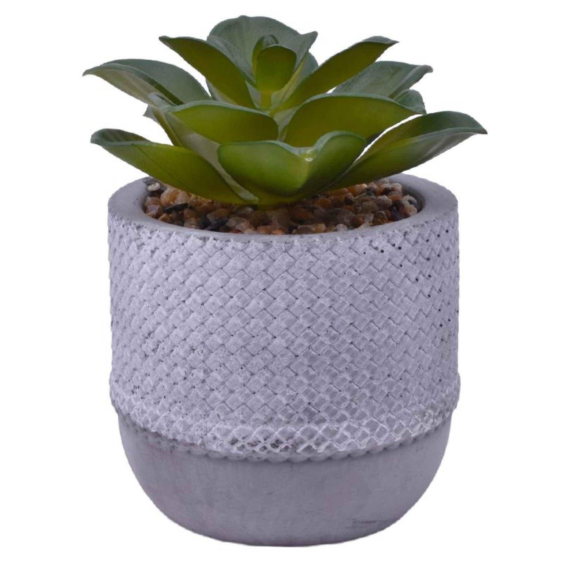 VASO CIMENTO C/PLANTA ART 2437-009 CX24 VASO CIMENTO C/PLANTA ART 2437-009 CX24