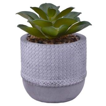 VASO CIMENTO C/PLANTA ART 2437-009 CX24