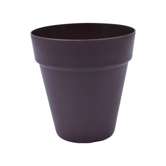 VASO RED C/ABA EUR 300 CAST