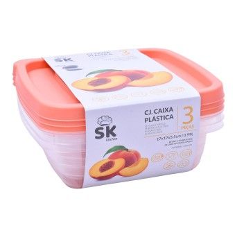 CAIXA PLT SET 3 QUAD 0,99L 0947-10 CX36