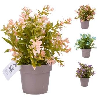 PLANTA C/ VASO 2440-015 CX144