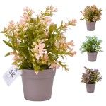 PLANTA C/ VASO 2440-015 CX144