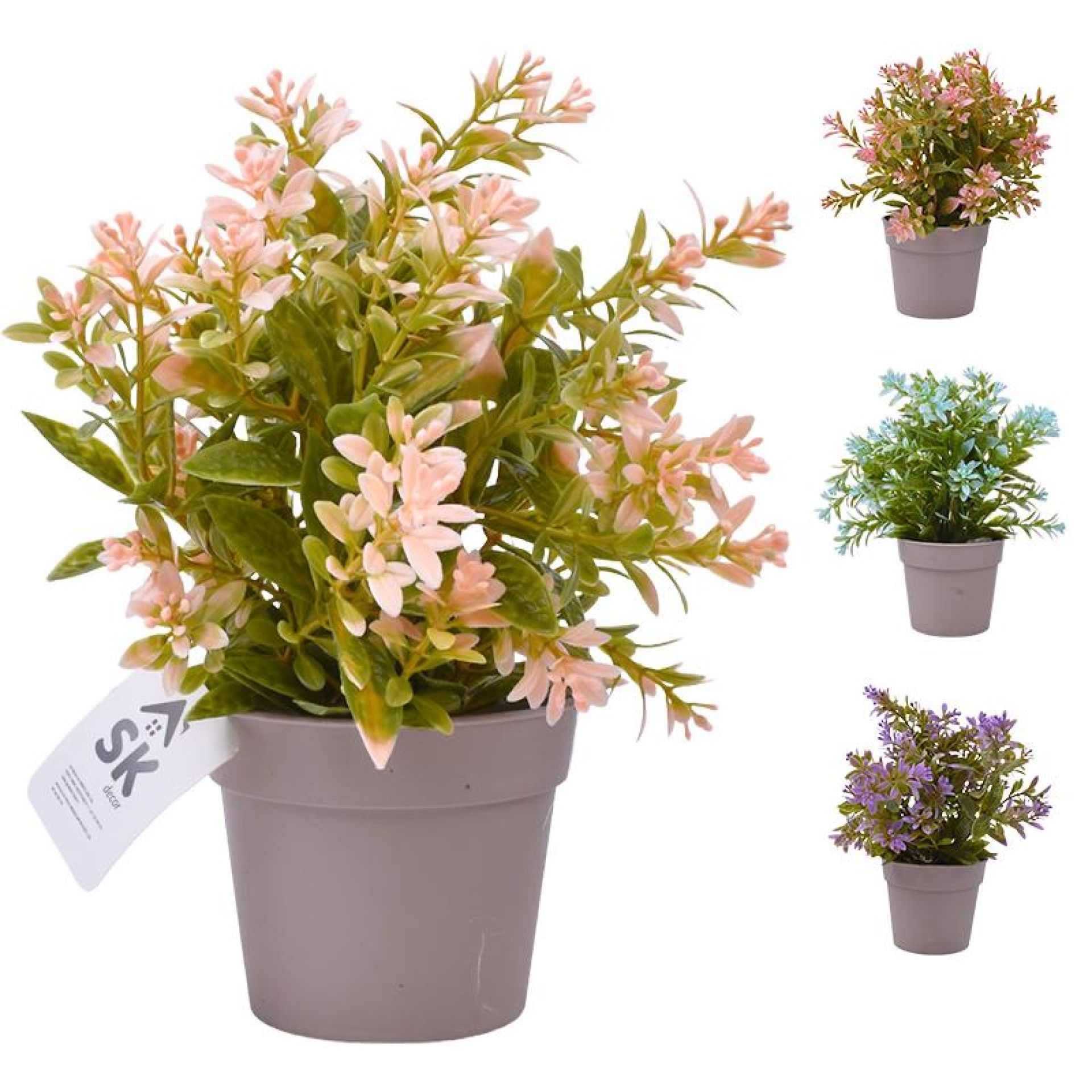 PLANTA C/ VASO 2440-015 CX144 PLANTA C/ VASO 2440-015 CX144