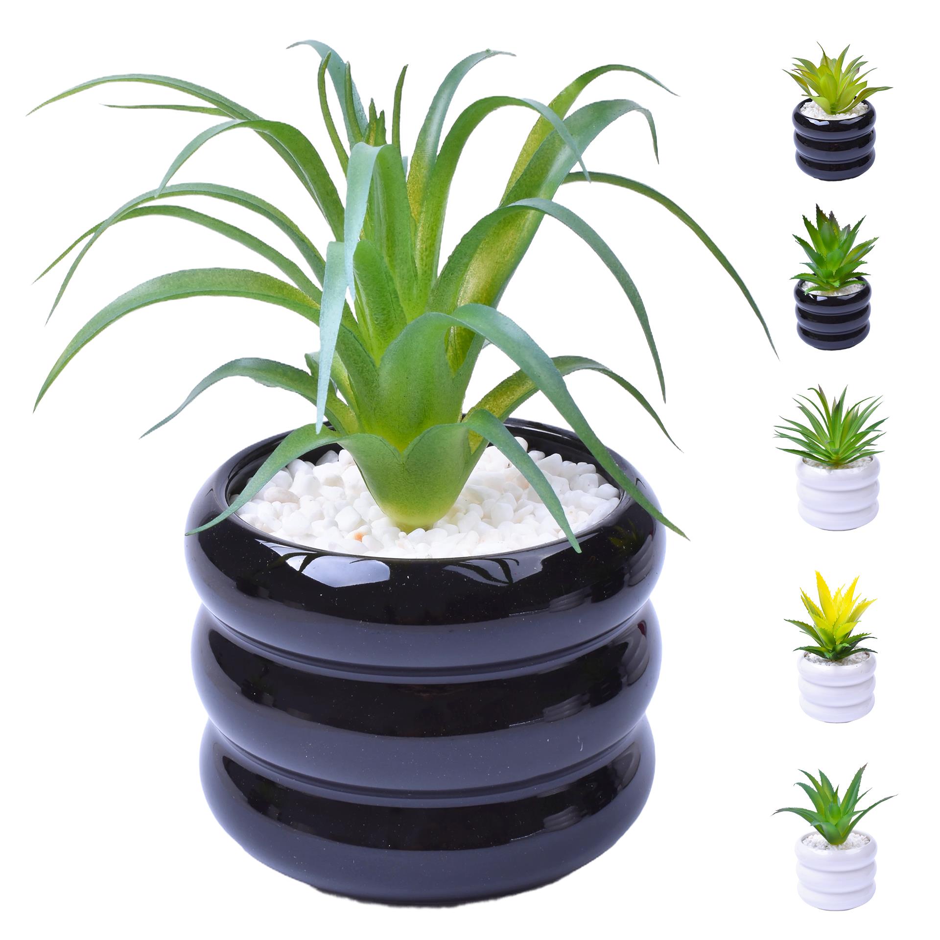 VASO C/CACTO 8,5X7 2070-43 CX48 VASO C/CACTO 8,5X7 2070-43 CX48