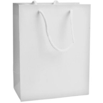 SACO PAPEL 42X31X12CM BRC 2417-000-D03