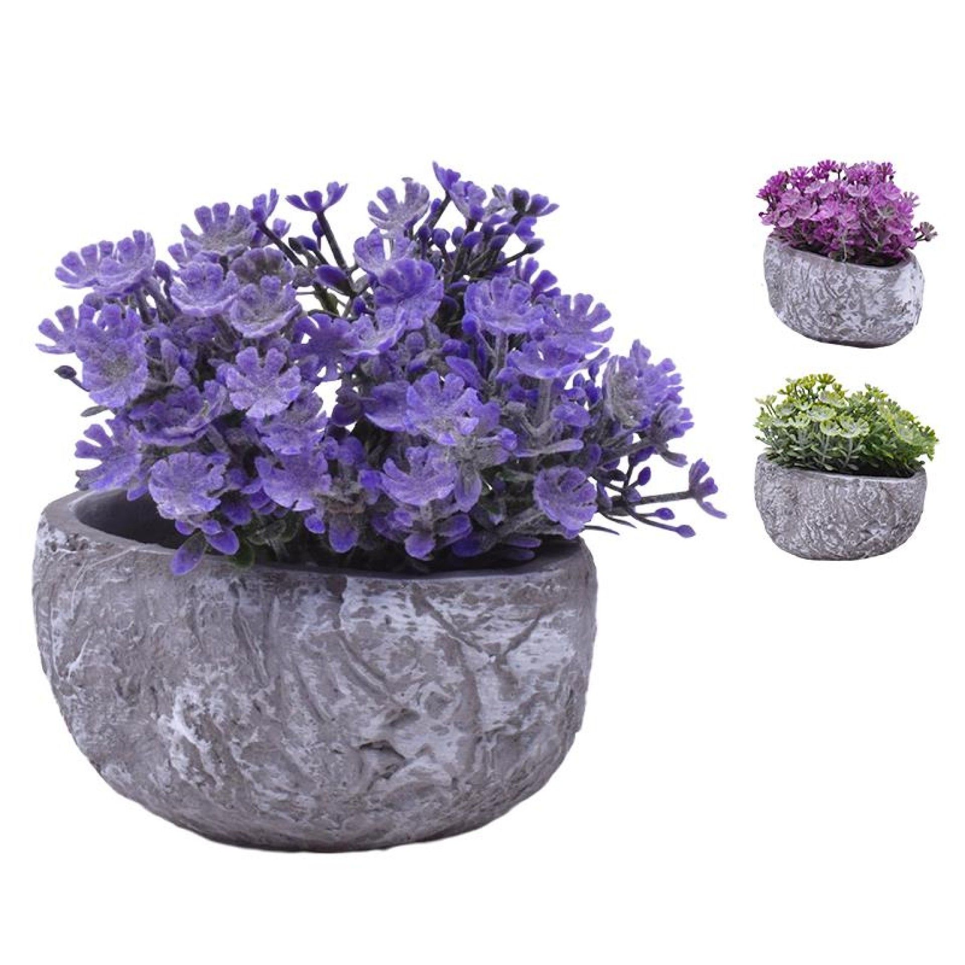 PLANTA C/ VASO 202-996-02 CX96 PLANTA C/ VASO 202-996-02 CX96
