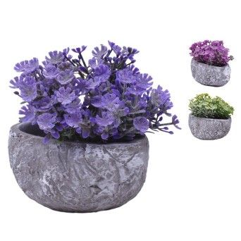 PLANTA C/ VASO 202-996-02 CX96