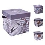 CAIXA PRESENTE 30X30X30 1968-011-03 CX96 CAIXA PRESENTE 30X30X30 1968-011-03 CX96