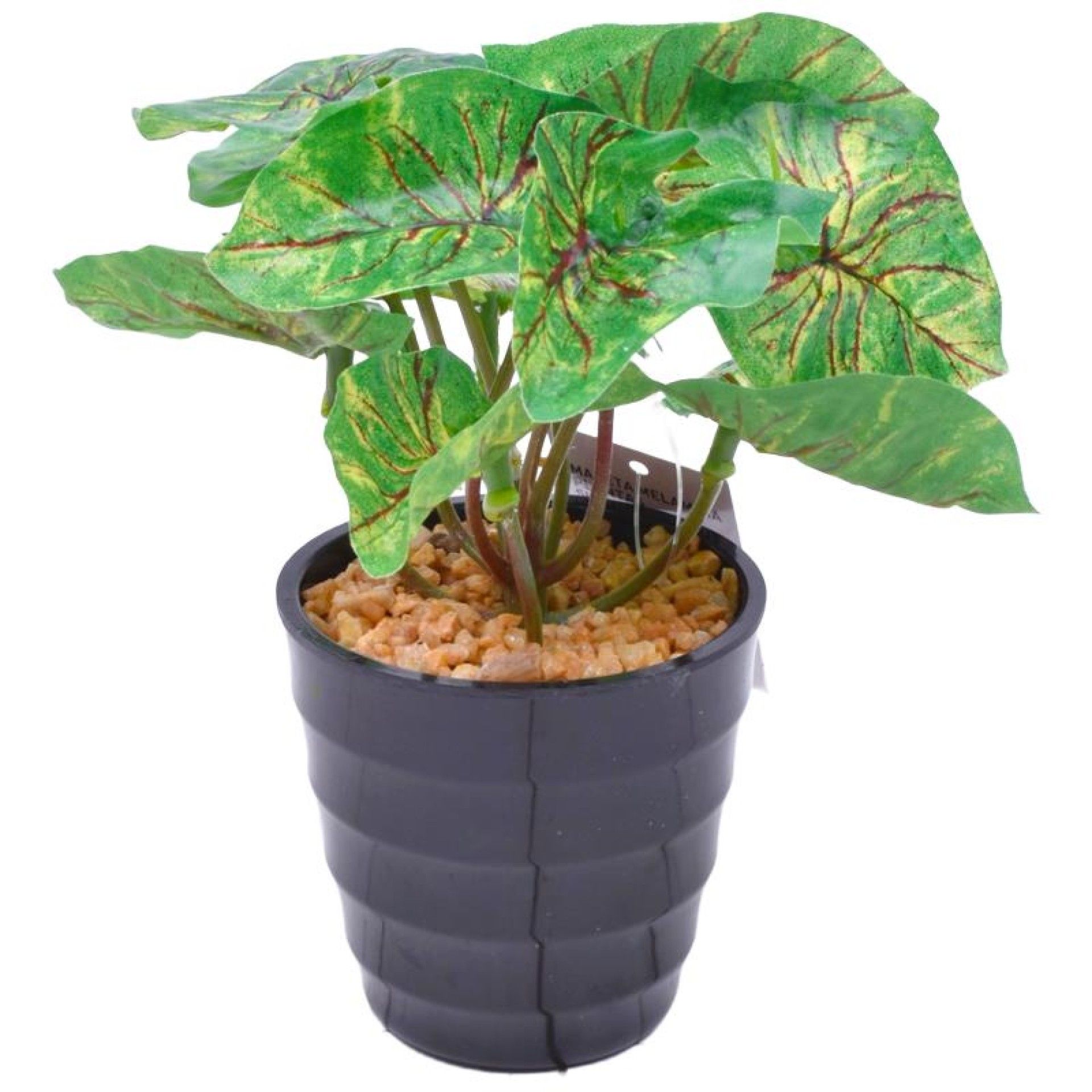 VASO C/ PLANTA 15CM VASO C/ PLANTA 15CM