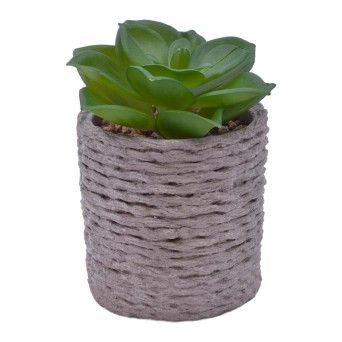 VASO CIMENTO C/PLANTA ART 2437-005 CX24