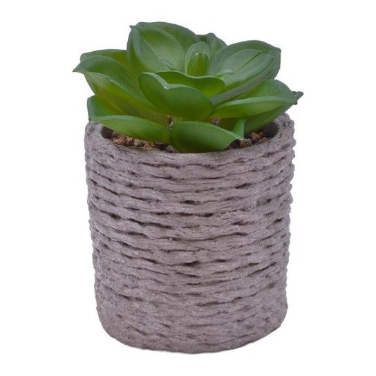 VASO CIMENTO C/PLANTA ART 2437-005 CX24