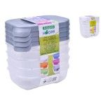 PLASTICO CONJ. 4 CAIXAS 0.25L 01279
