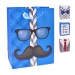 SACO PRESENTE 23X18X10 2317-053CX400