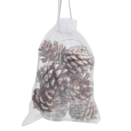 PINHAS VRM 4CM SACO 10UN