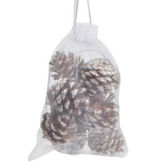 PINHAS VRM 4CM SACO 10UN