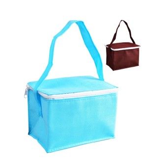 SACO TERMICO 21X15X15CM BC06/NW CX120