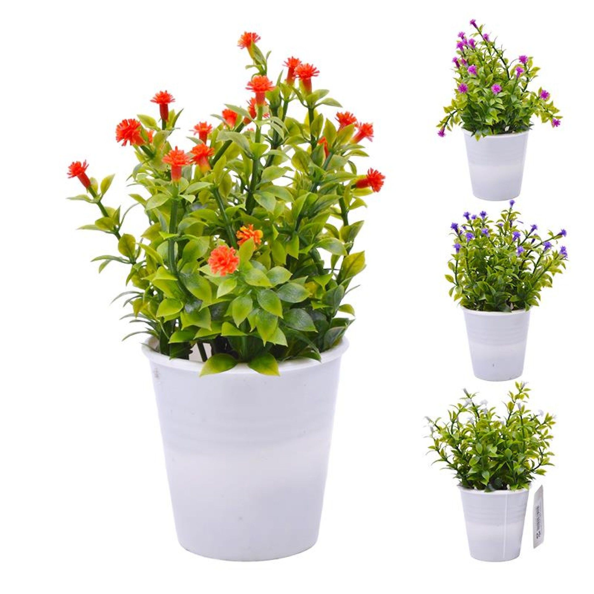 PLANTA C/ VASO 2647-004-01 CX144 PLANTA C/ VASO 2647-004-01 CX144