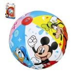 BOLA INSUFLAVEL DISNEY+2ANOS 91098 BOLA INSUFLAVEL DISNEY+2ANOS 91098