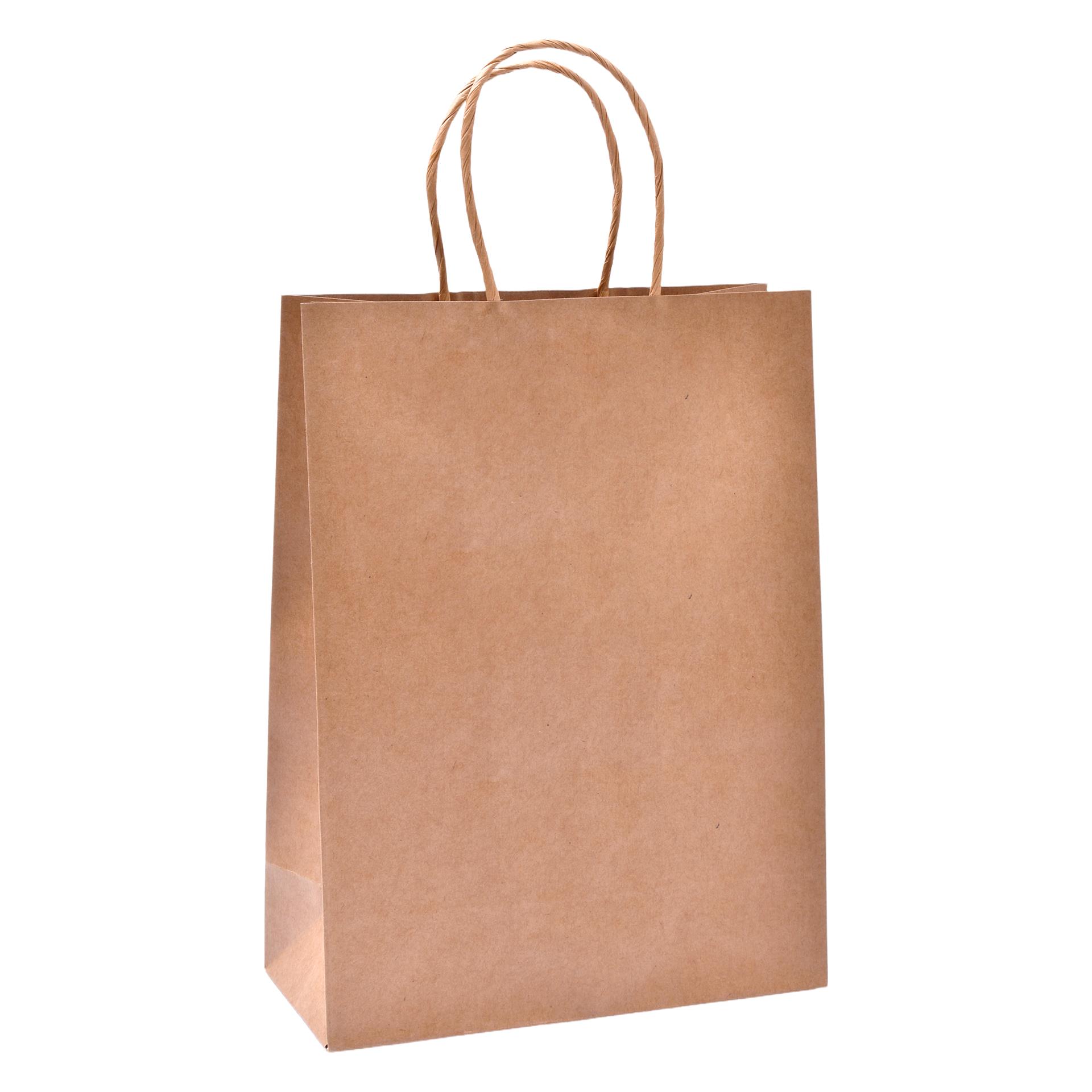 SACO KRAFT 18X8X24CM 042-38 KRAFT CX240 SACO KRAFT 18X8X24CM 042-38 KRAFT CX240