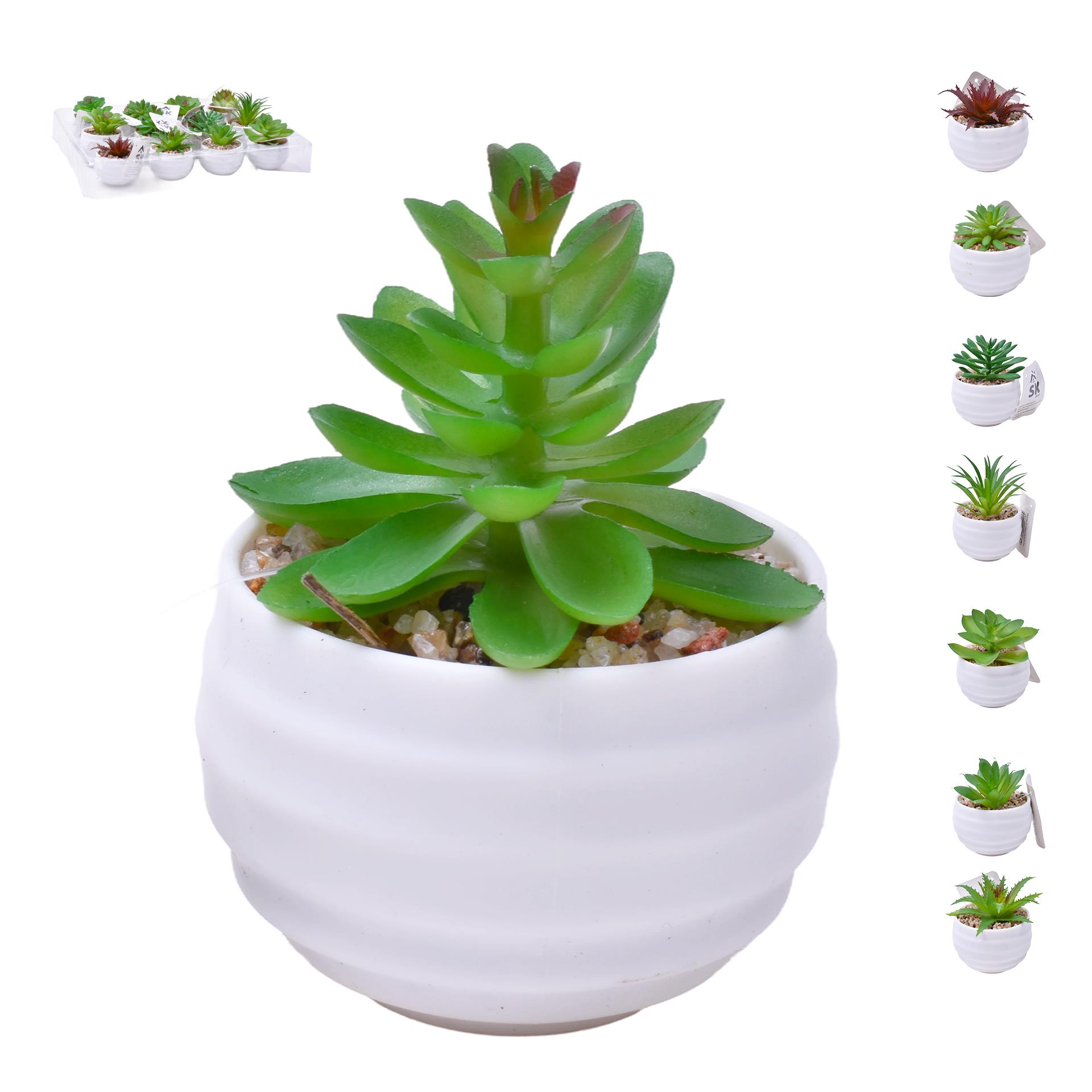 PLANTA C/VASO 6X4,5CM 2884-007-01 CX192