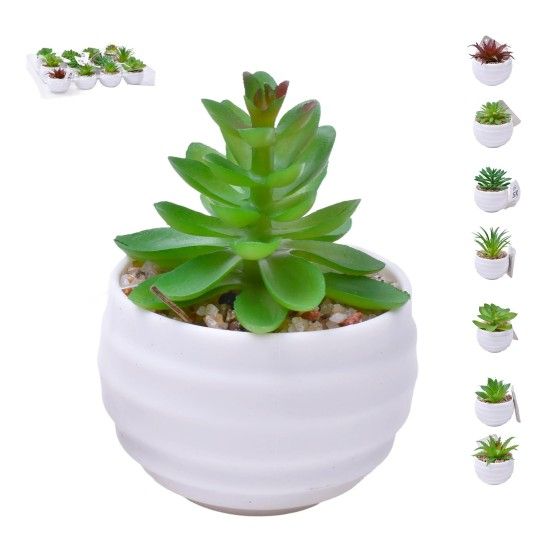 PLANTA C/VASO 6X4,5CM 2884-007-01 CX192