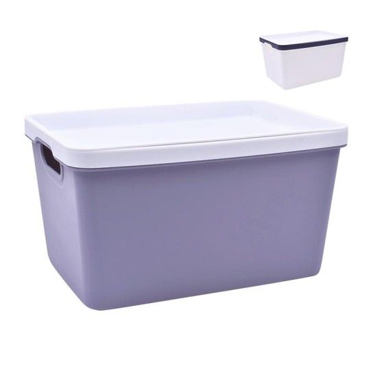 CESTO PLAST C/ASAS 2630-513-03 CX24