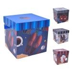 CAIXA PRESENTE 30X30X30 1968-010-03 CX96