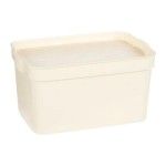 CAIXA PLT COM TAMPA 6L CREME CAIXA PLT COM TAMPA 6L CREME