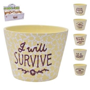 VASO 13X10 2675-041 CX48