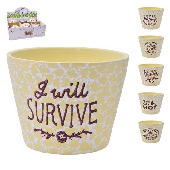 VASO 13X10 2675-041 CX48