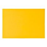 CARTOLINA 6UN 50X70CM 2940-000-A04 CX50