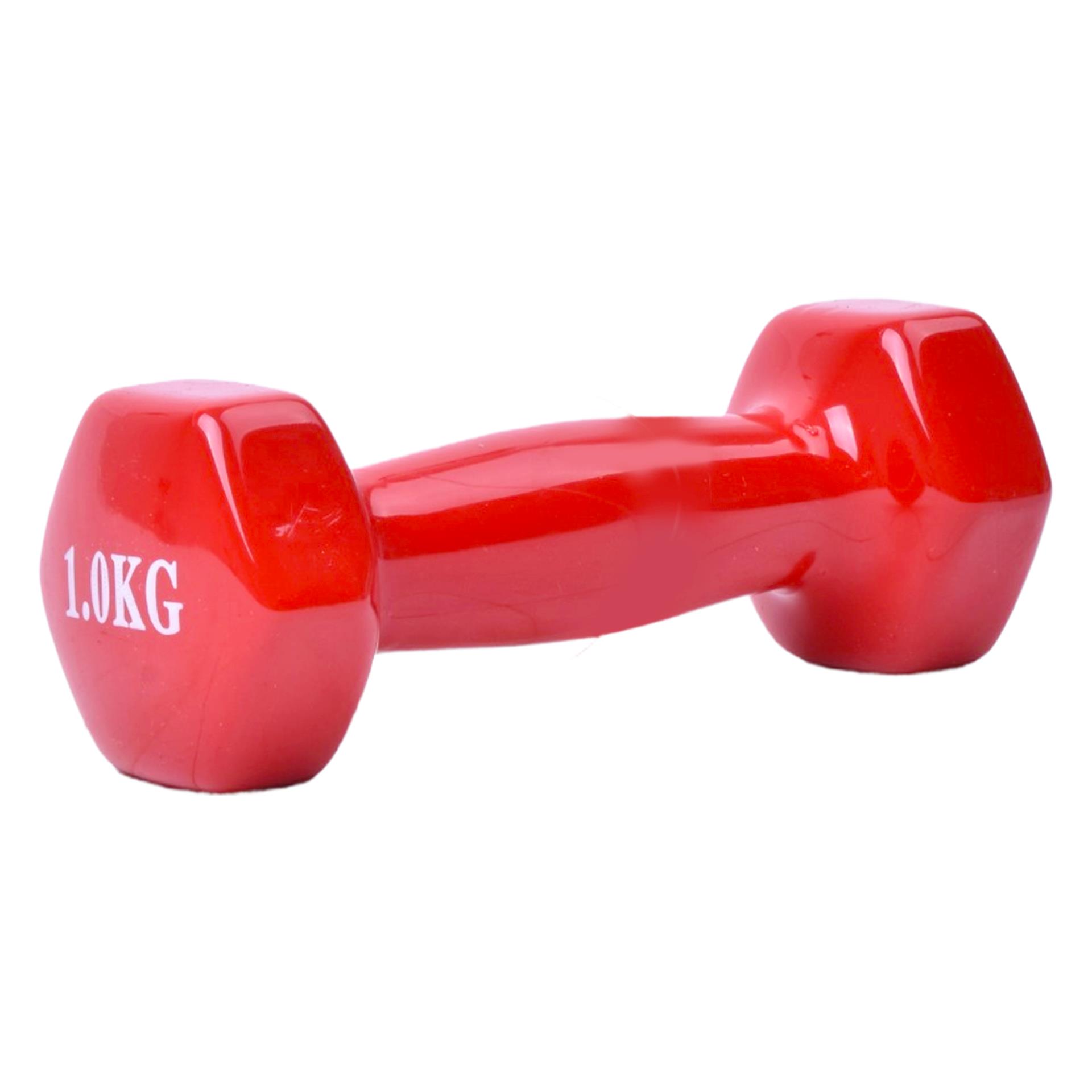 HALTER 1KG 203-180 CX20 HALTER 1KG 203-180 CX20