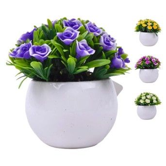 PLANTA C/ VASO 2440-022 CX144