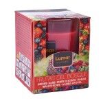 VELA LUMAR AROMAT FRUTAS DO BOSQUE CX6 VELA LUMAR AROMAT FRUTAS DO BOSQUE CX6
