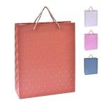 SACO PRESEN  32X26X10 3024-001-01 CX240