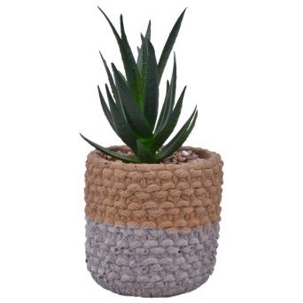 VASO CIMENTO C/PLANTA ART 2437-011 CX24