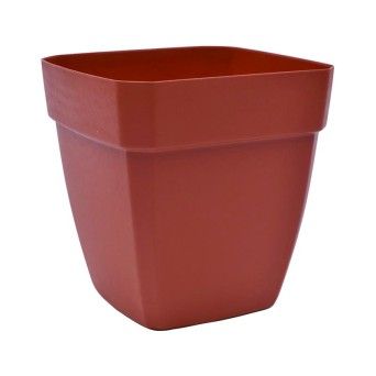 VASO QUADR C/ABA EUR 300 TERRA
