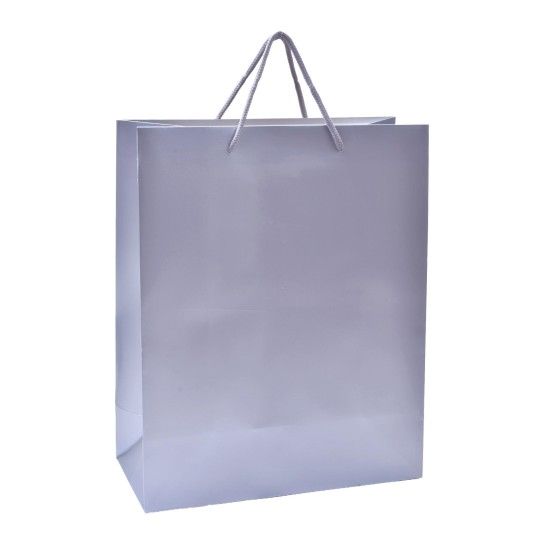 SACO PAPEL 32X26X12 PRT 2417-000-F02 CX300