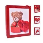 SACO 26x32x12CM 2419-505-01 CX240