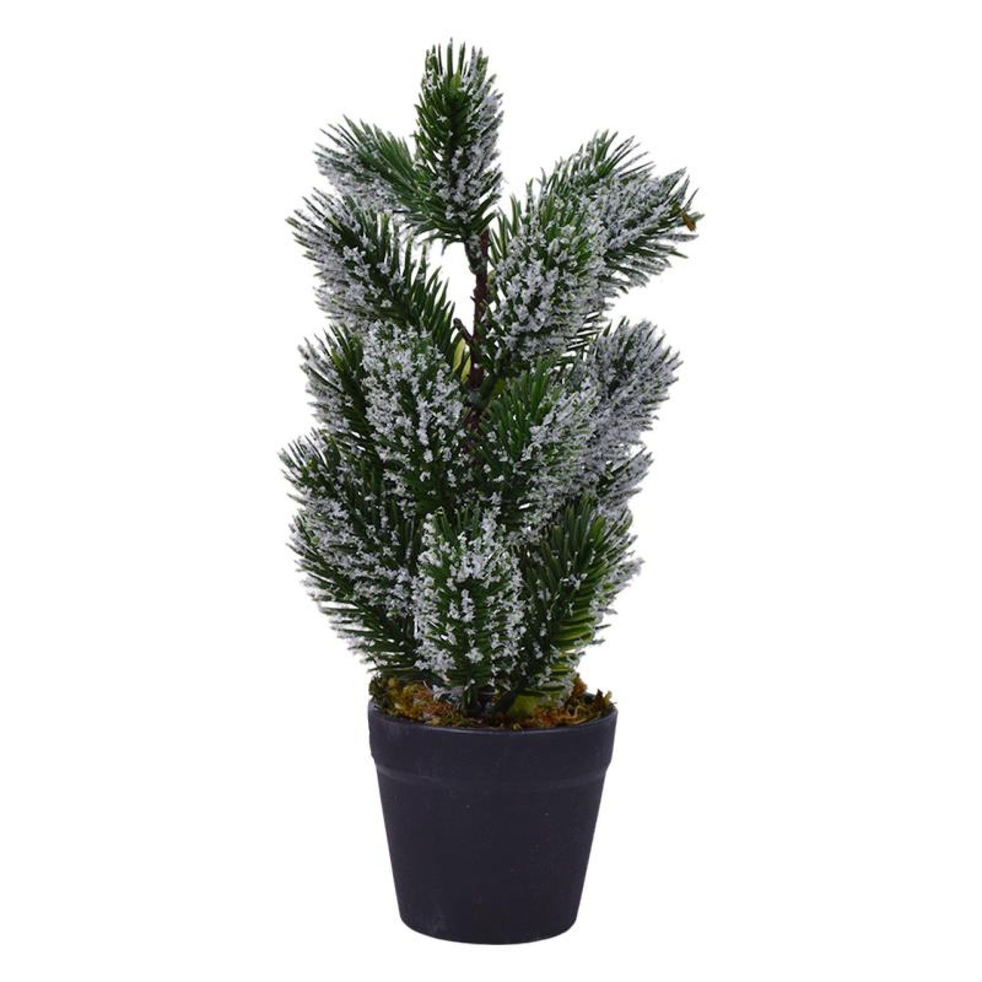 FLOR NATAL C/VASO 1283-888CX72 FLOR NATAL C/VASO 1283-888CX72