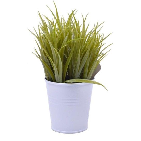 PLANTA C/ VASO 2647-000 CX144