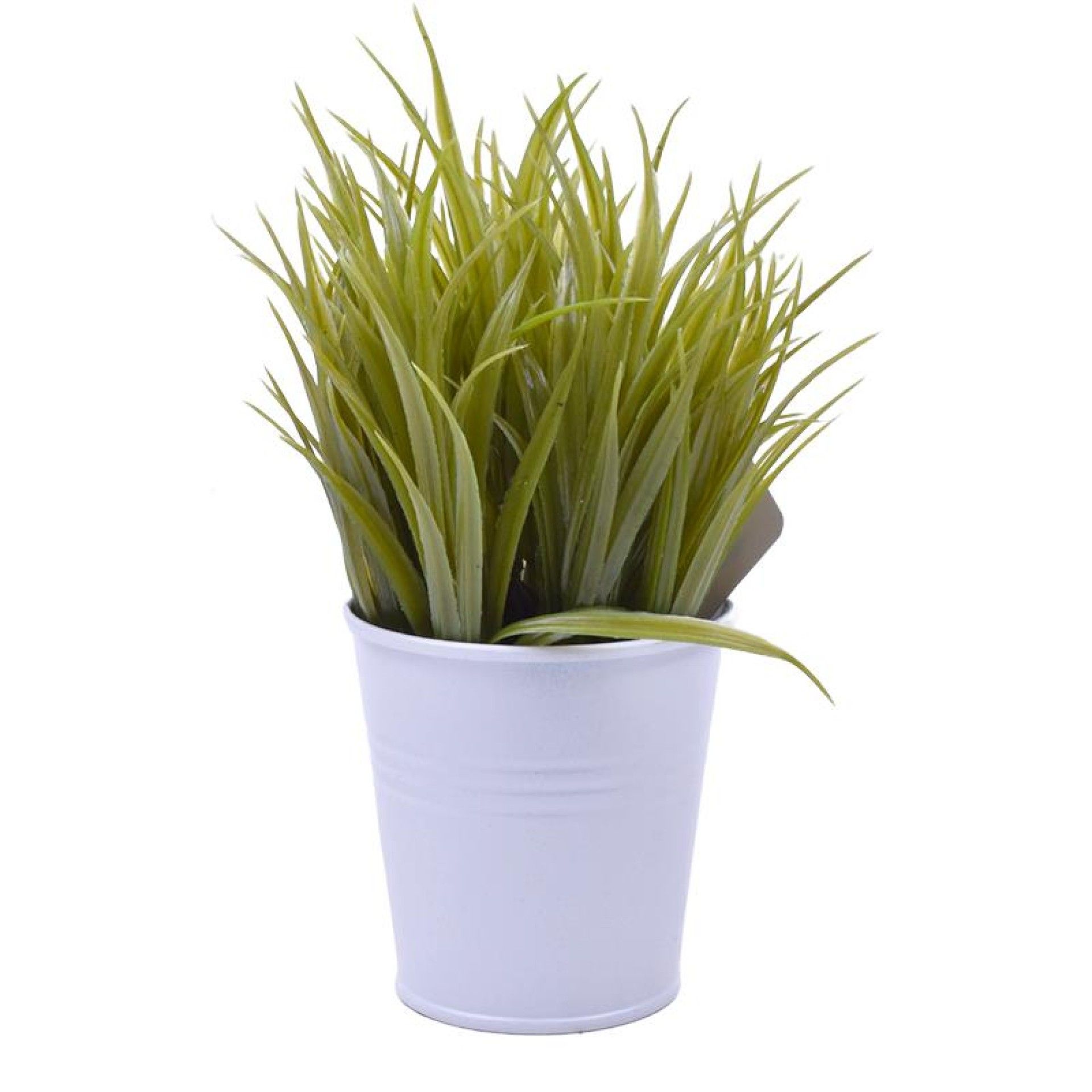 PLANTA C/ VASO 2647-000 CX144 PLANTA C/ VASO 2647-000 CX144