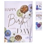 CARTAO H BIRTHDAY 250G 2915-600-01 CX288